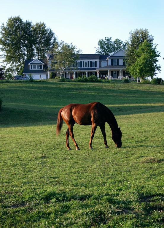 The Inn At Westwynd Farm Херши Удобства фото
